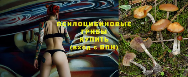 круглые Алексеевка