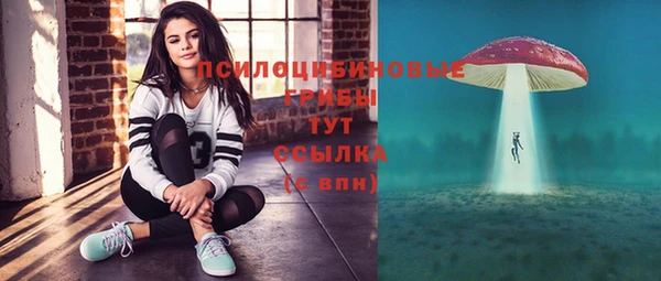 шишки Алексин