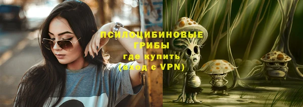 круглые Алексеевка