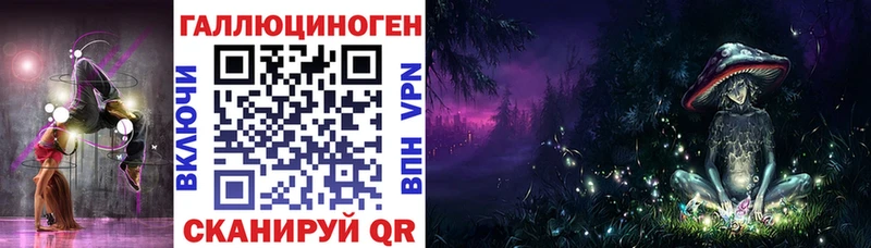 Галлюциногенные грибы мицелий  блэк спрут как зайти  Чаплыгин 
